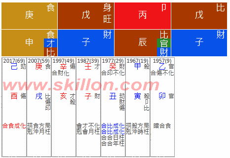 八字 BaZi Four Pillars of Destiny Patt Chee